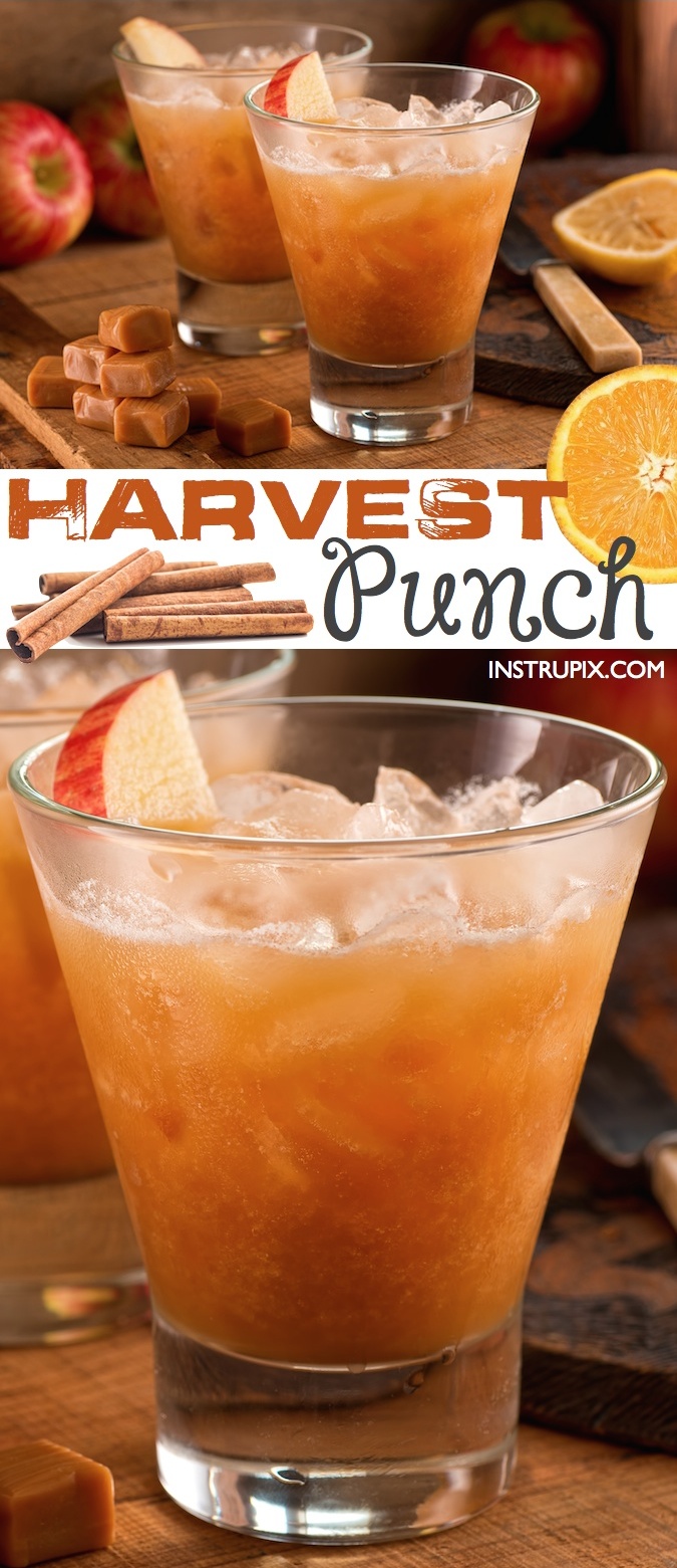 The BEST fall punch recipe for parties! This easy autumn alcoholic adult drink recipe is a hit for Halloween or Thanksgiving. It's a real crowd pleaser! Instrupix.com 