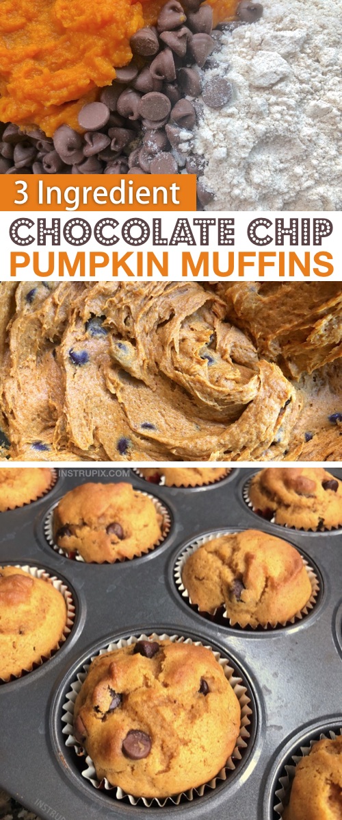 Looking for quick and easy pumpkin dessert recipes? These 3 ingredient chocolate chip pumpkin muffins are made with just spice cake mix, pumpkin puree and chocolate chips. Just 2 ingredients without the chocolate! The best simple fall treat and dessert idea! #instrupix #3ingredients 