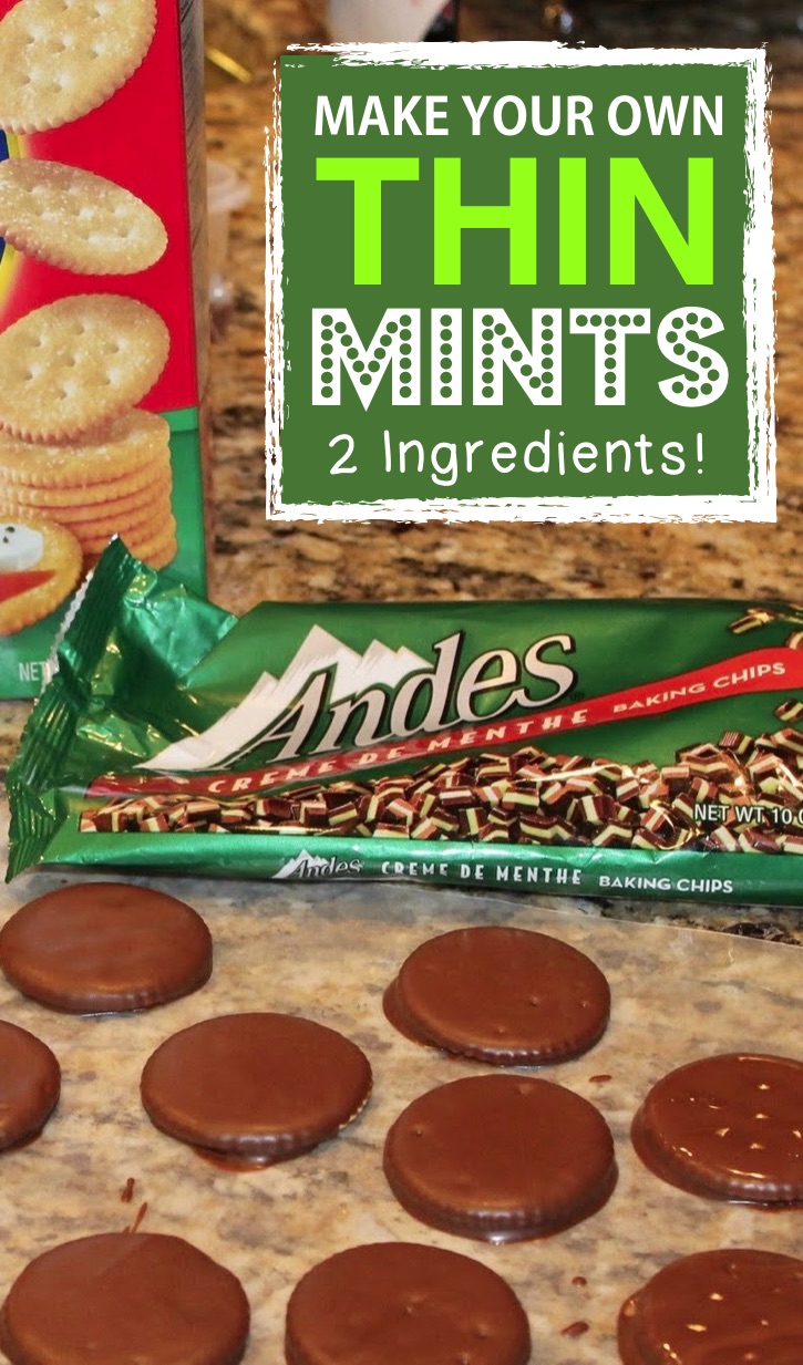 8 Crazy Cool Treats To Make With Ritz Crackers -- Easy Thin Mints Recipe with Ritz (2 ingredients!) | Easy and fun snack and treat ideas made with Ritz crackers! These Ritz cracker recipes are perfect for making treats, snacks, sandwiches and even pizza! Quick and easy snack ideas for kids. #ritz #snacks #treats #instrupix #kidssnacks #easyrecipes #2ingredients #thinmints