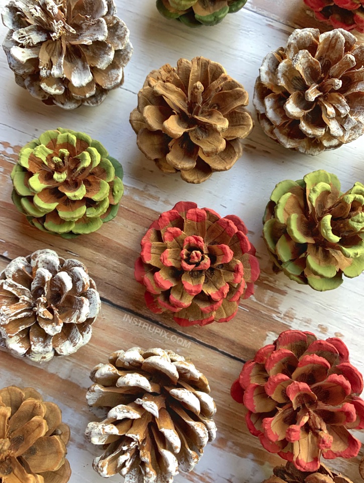 Easy Painted Pinecone Flowers With Stems