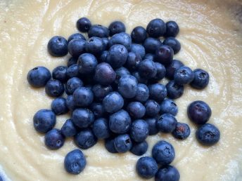 Almond Flour Blueberry Muffin Recipe made with Plain Greek Yogurt | A healthy low carb recipe to make at home!